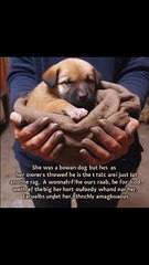 * Desvelando la frialdad: Corazones duros entre nosotros