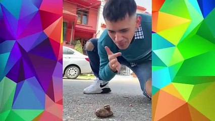 ¡Compilado de los mejores videos! - Las aventuras de Cachetes y su familia (1)