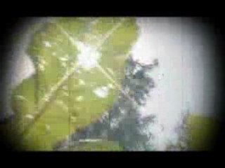 "We Be" par Julien War