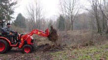 Tree stumps removal with a Kubota B2261 4WD to clear a pond (part 1)