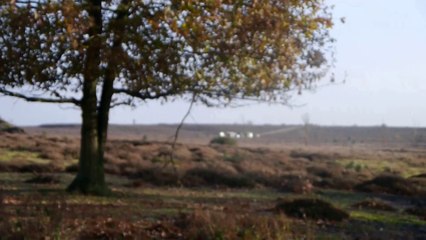 FOOTPATHS IN CRISIS: Roydon Common Episode 2