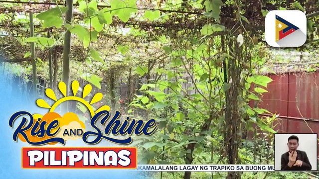 Negosyo Tayo | Organic and healthy foods business