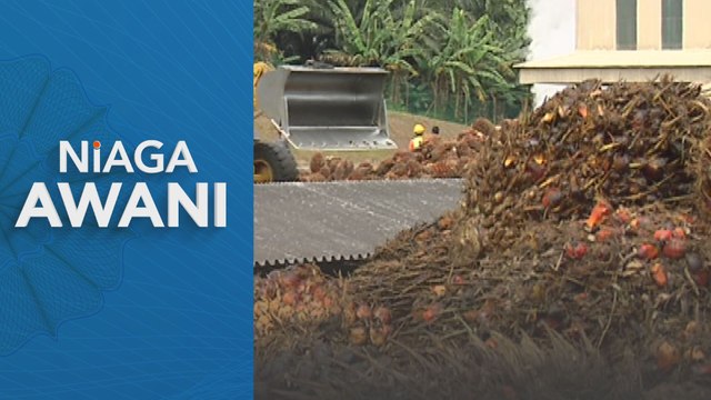 Niaga AWANI: Kontrak niaga hadapan MSM dijangka meningkat minggu ini