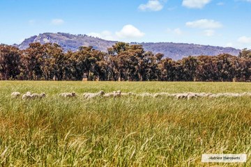 Prime Farm Sale in Locksley on January 15, 2024 🚜