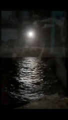 Con Gián - Tiểu Cường Siêu Quậy