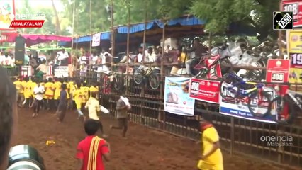 തമിഴ്നാട്ടിൽ ആഘോഷമായി ജെല്ലിക്കെട്ട് , കാണാനെത്തി ആയിരങ്ങൾ