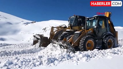 Van'da kar yağışı nedeniyle kapanan yerleşim yerlerinin çoğu açıldı