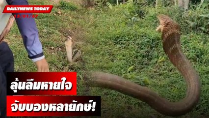 ลุ้นลืมหายใจจับบองหลายักษ์! | DAILYNEWSTODAY เดลินิวส์ 15/01/67
