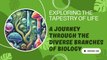Exploring the Tapestry of Life: A Journey Through the Diverse Branches of Biology
