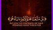 Récitation du Coran...! Recitation Of Qur'an...! #voiceofquransoutalquran #koran #foryou #reciting #foryoupage #Tilawah #Tilawat  #100k #10monthsold