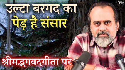 उल्टा बरगद का पेड़ है संसार || आचार्य प्रशांत, श्रीमद्भगवदगीता पर (2017)