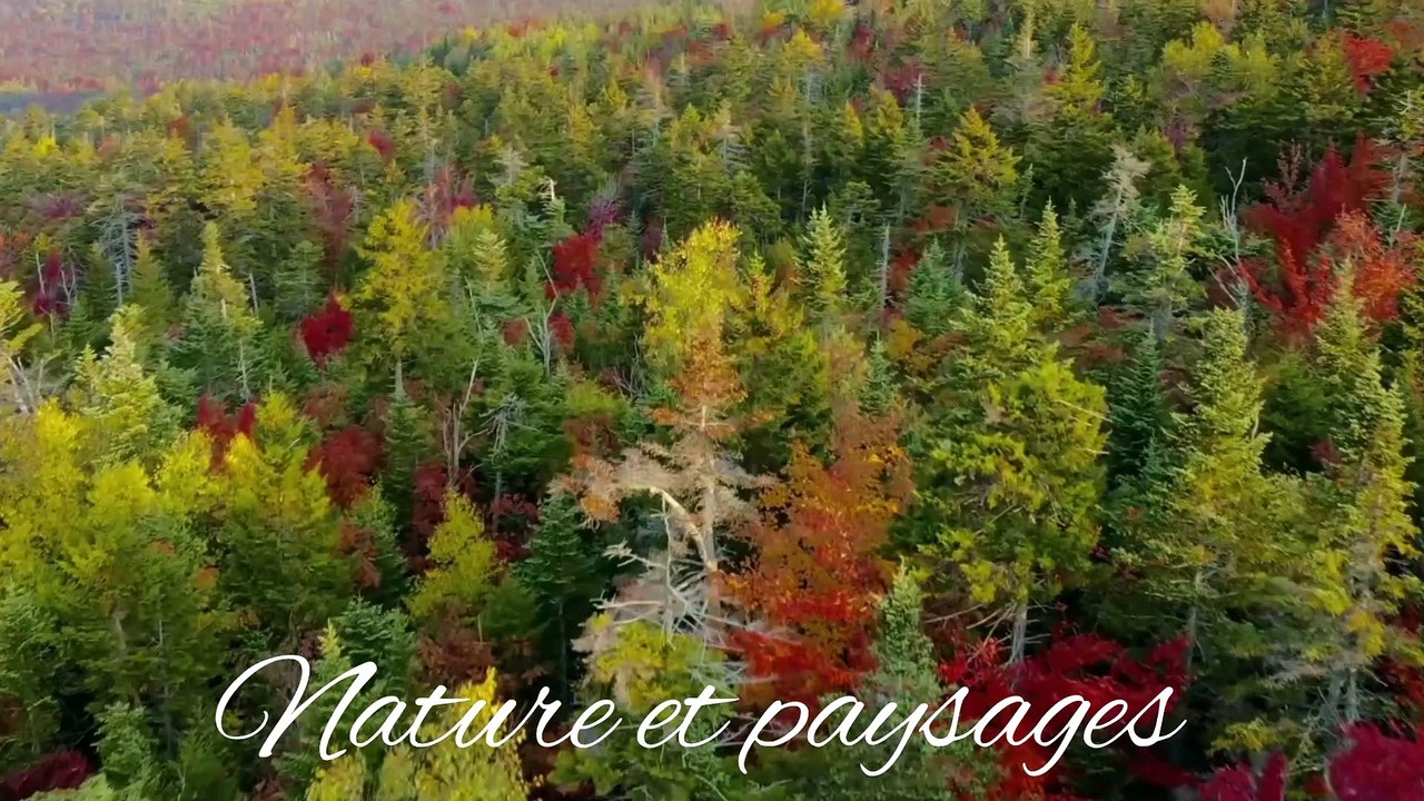 "une source de paix et de tranquillité"