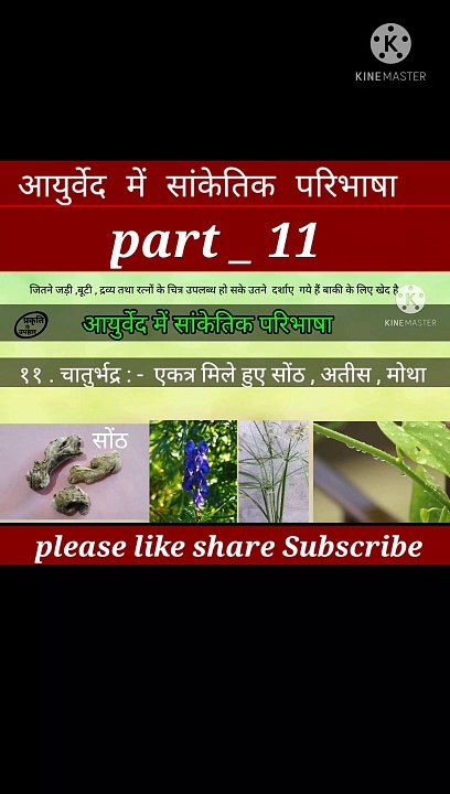 आयुर्वेद मे सांकेतिक परिभाषा part _11 | #aayurveda | घरेलू नुस्खे