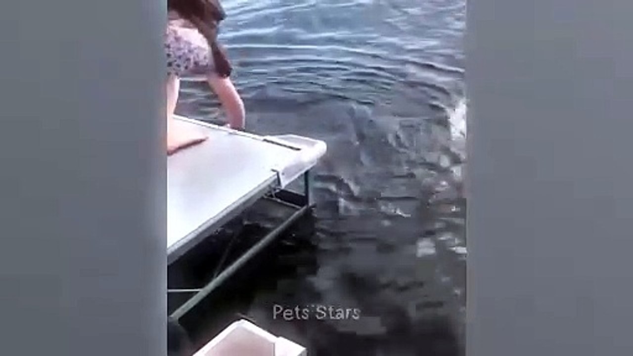 #ytshortsindia morsomt haha #comedys #babs#comedyshorts#cuteanimals#ytshortsindia​​​​#cutebaby#comdy #comedys sex#sex anml#babs#comedyshorts#cuteanimalsytshortsindia#ytshortsindia 有趣哈哈#cutebaby #comdycomedys #ba#comedyshorts #cuteanimals#ytshortsindia#yts