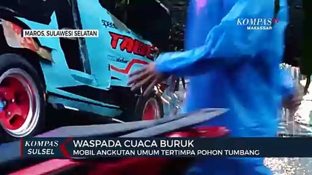 Waspada Cuaca Buruk, Mobil Angkutan Umum Tertimpa Pohon Tumbang