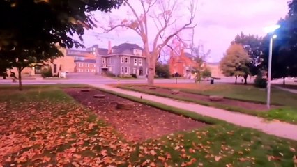 FAll weather peterborough ontario