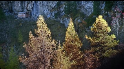 Vivre avec les loups - Trailer