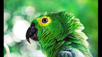 🎶 'What a Wonderful World' Cover by Marc – A Unique Twist on a Classic