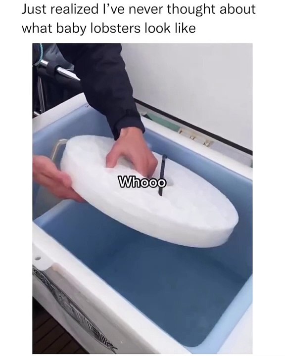 Joyful Jokes and Gags _ Unforgettable Funny Video Moments!