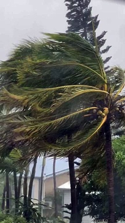 Marie-Alix Jeanson, star de "Familles nombreuses, la vie en XXL" sur TF1, face au cyclone Belal à la Réunion.