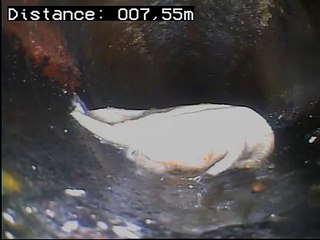 Inspéction télévisée d’une canalisation à partir d’un regard extérieur chez un particulier