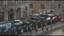 Trattori bloccano centro di Berlino: nuova protesta degli agricoltori