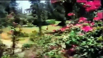 Tere Bina Ab Ek Pal /Asha Bhosle/  Nikamma 1983