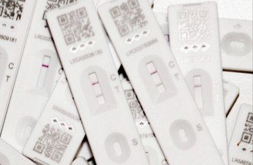 Going vegan can lower a person's risk of catching Covid.