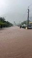 Cyclone Belal : des habitants de Rivière-Noire bravent les inondations