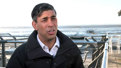 PM Rishi Sunak: Yemen strikes were a last resort