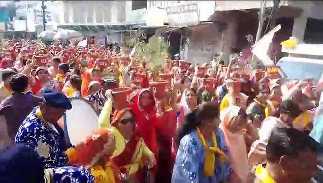 108 तुलसी कलश एवं संत शोभायात्रा में उमड़ा सैलाब