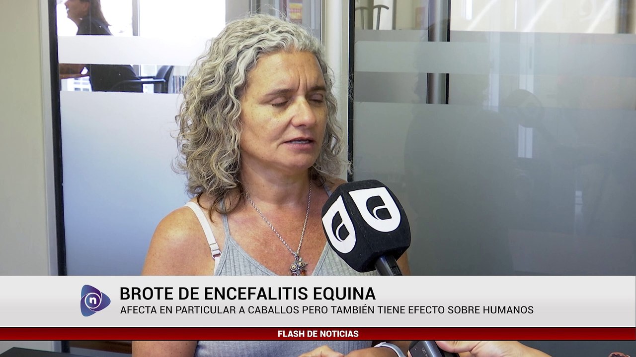BROTE DE ENCEFALITIS EQUINA
