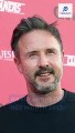 David Arquette Net Worth 2023 | Hollywood Actor David Arquette | Information Hub