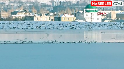 Van'da soğuk hava sonrası Sıhke Göleti'nin yüzeyi kısmen dondu