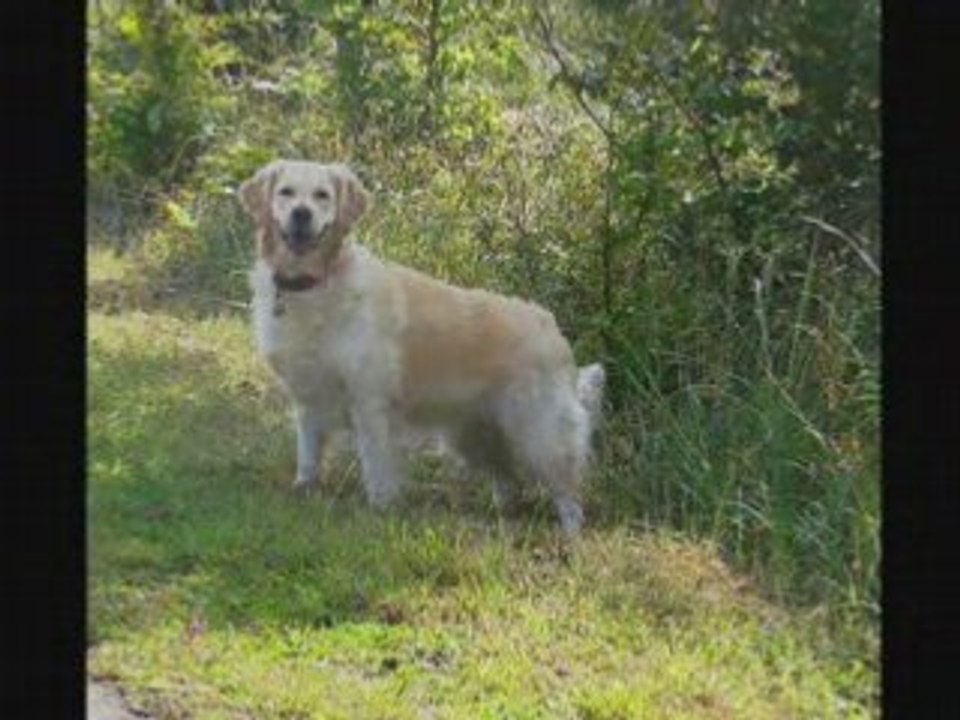 Anniversaire d Amande ses trois ans