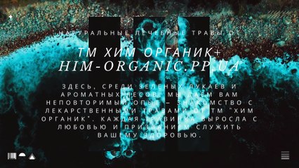 Welcome to the fascinating world of natural wonders, where every herb is a gift from the earth.