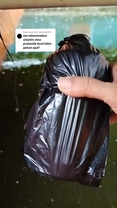 Ini rekomendasi PROBIOTIK yang sering saya gunakan untuk perikanan #shortsviral