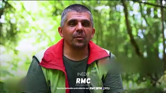 Bûcheron : un métier à hauts risques - 18 janvier