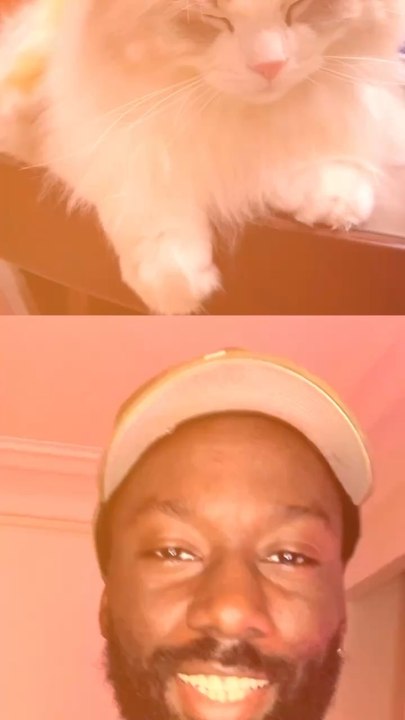 Abonne-toi pour suivre l’actualité positive chaque semaine !     @theimpactstory  Source 1 : Les Echos I source 2 : Ouest France  I source 3 : Capital I source 4 : Capital I source 5 : Le Monde