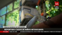 Reportan seis casos de niños intoxicados por metanfetaminas en Sinaloa