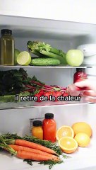 Le Froid : Une Illusion Mentale ❄️