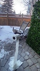 Frozen Toilet Paper Roll Defies Gravity