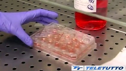 Video News - Antinfluenzale, vaccinarsi conviene