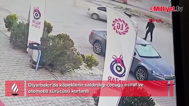 Diyarbakır'da köpeklerin saldırdığı çocuğu esnaf ve otomobil sürücüsü kurtardı