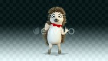 Hedgehog Dancing Funny Dance, Backgrounds Motion Graphics ft. hedgehog & animal - Envato Elements