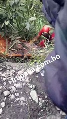 Habitantes de Pichu, del municipio de Yanacachi, hallaron el cuerpo sin vida en el río Unduavi