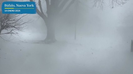 Tormenta ártica afecta a Estados Unidos