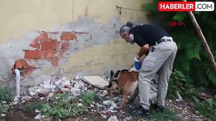 Tekirdağ Emniyet Müdürlüğü'nde görev yapan narkotik köpeği Larissa yaşamını yitirdi