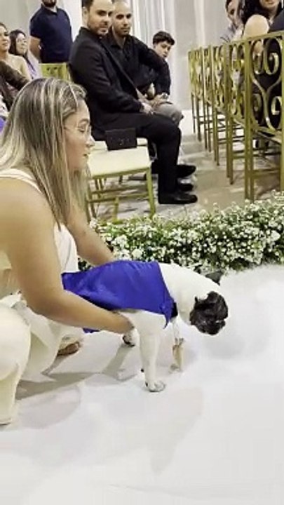 Most Beautiful Ring Bearer in Brazil