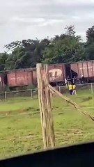 Homem que estaria dormindo no trilho morre após ser atropelado por trem em Joinville